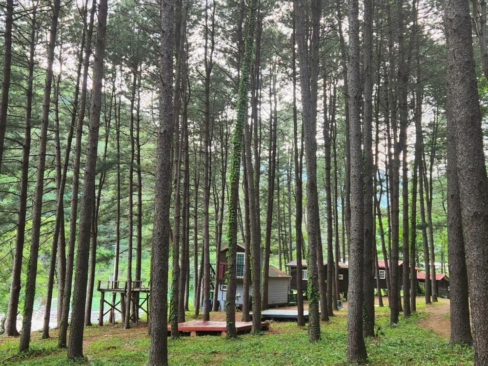 Hongcheon Gongjaksan Recreational Forest Pension Bagian luar foto