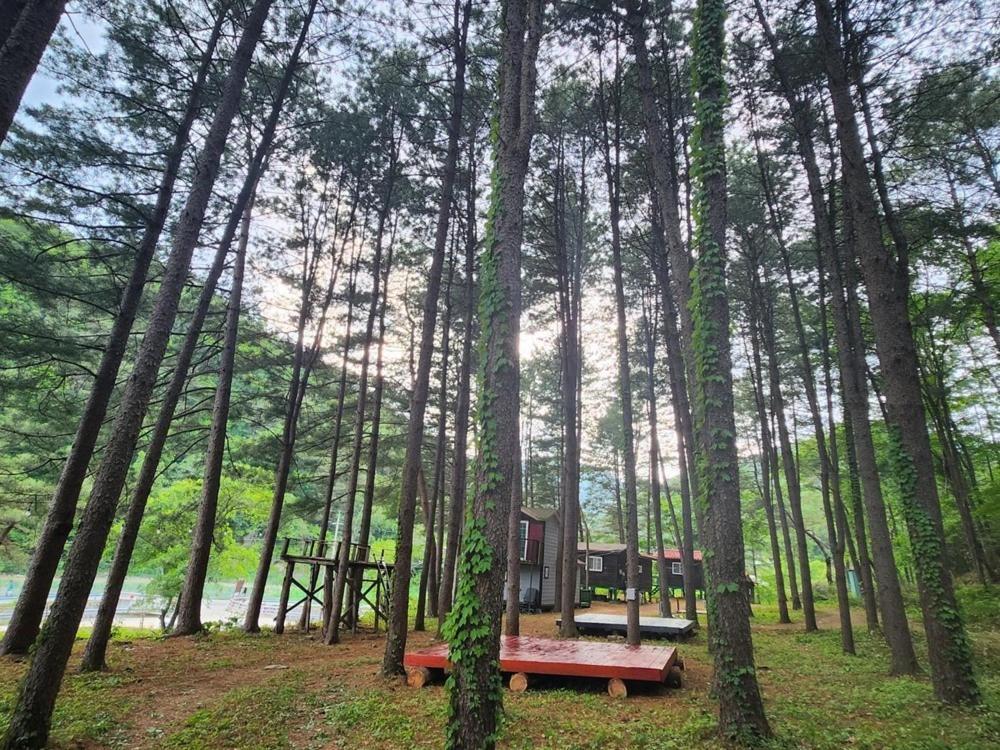 Hongcheon Gongjaksan Recreational Forest Pension Bagian luar foto